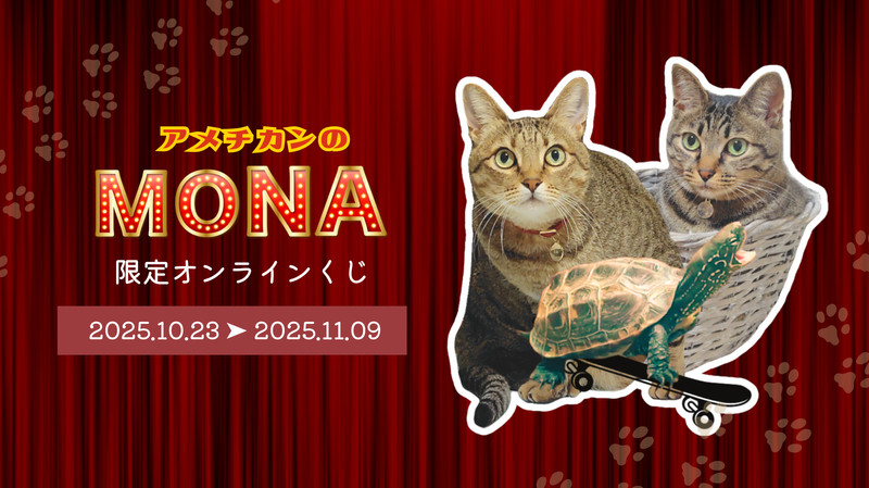 アメチカンのもな 限定オンラインくじ