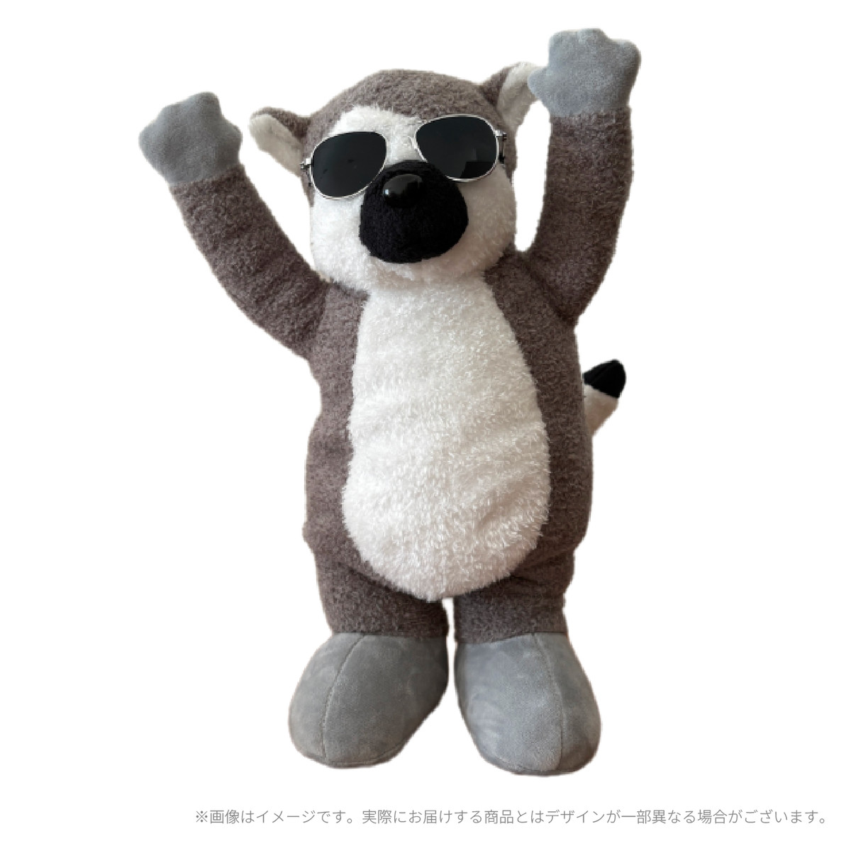 B賞 踊るワオキツネザルぼんちゃん