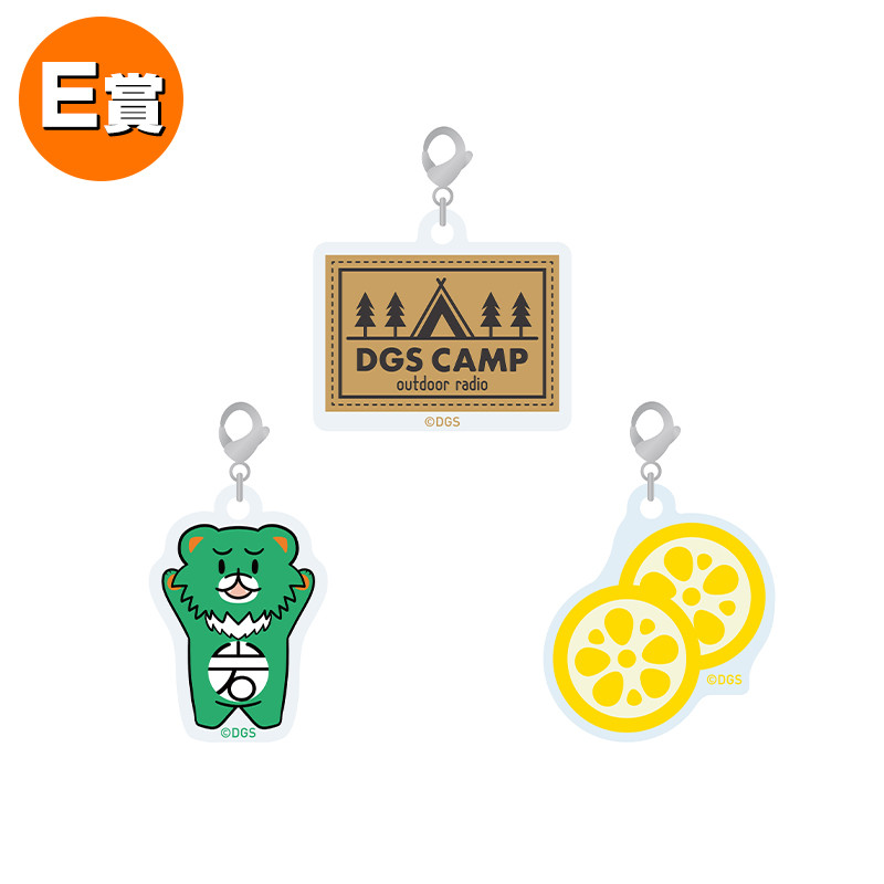 DGS CAMP 2025 くじセット 未使用 DGS CAMP 2025くじ | グッズ情報 | DGS CAMP 2025