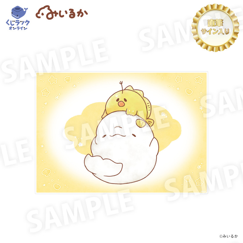 くじラック オンライン限定 『みいるか』 - くじラック