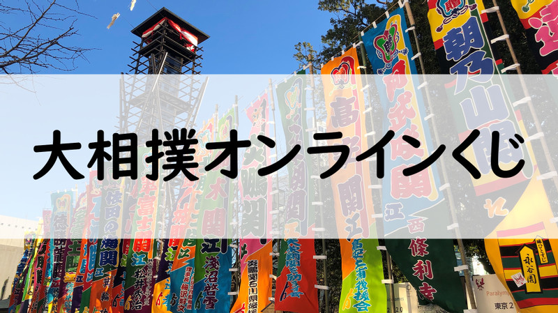 映像で見る国技大相撲全20巻コンプリートセット全冊子付 映像で見る国技大相撲全20巻コンプリートセット全冊子付