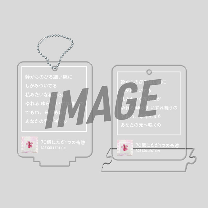 ACE COLLECTION オンラインくじ2026年第1弾 - ACE COLLECTION