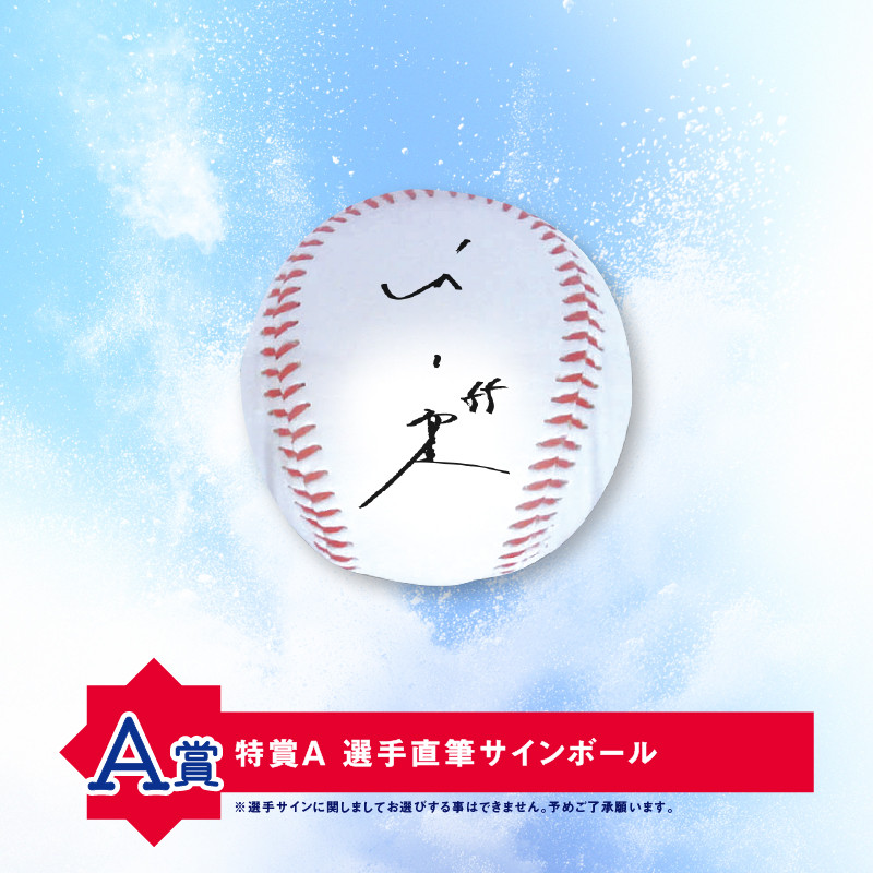 ヤクルト キーホルダー全20種コンプリートセット【オンラインくじ】 第20回東京ヤクルトスワローズオンラインくじ（選手 Ver